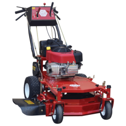 Kosiarka spalinowa World...