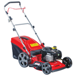 Kosiarka spalinowa World...